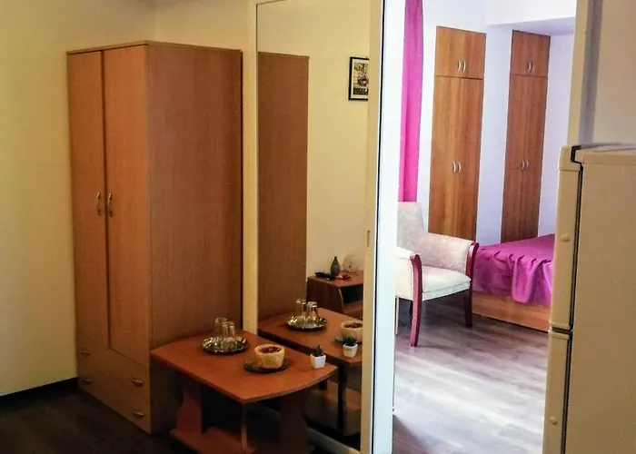 Casa de hóspedes Iulia