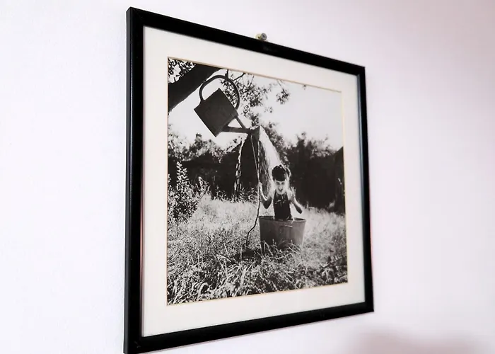 Casa de hóspedes Iulia