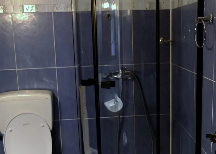 Iulia Casa de hóspedes 3*